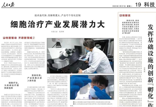 The cell therapy industry has great development potential